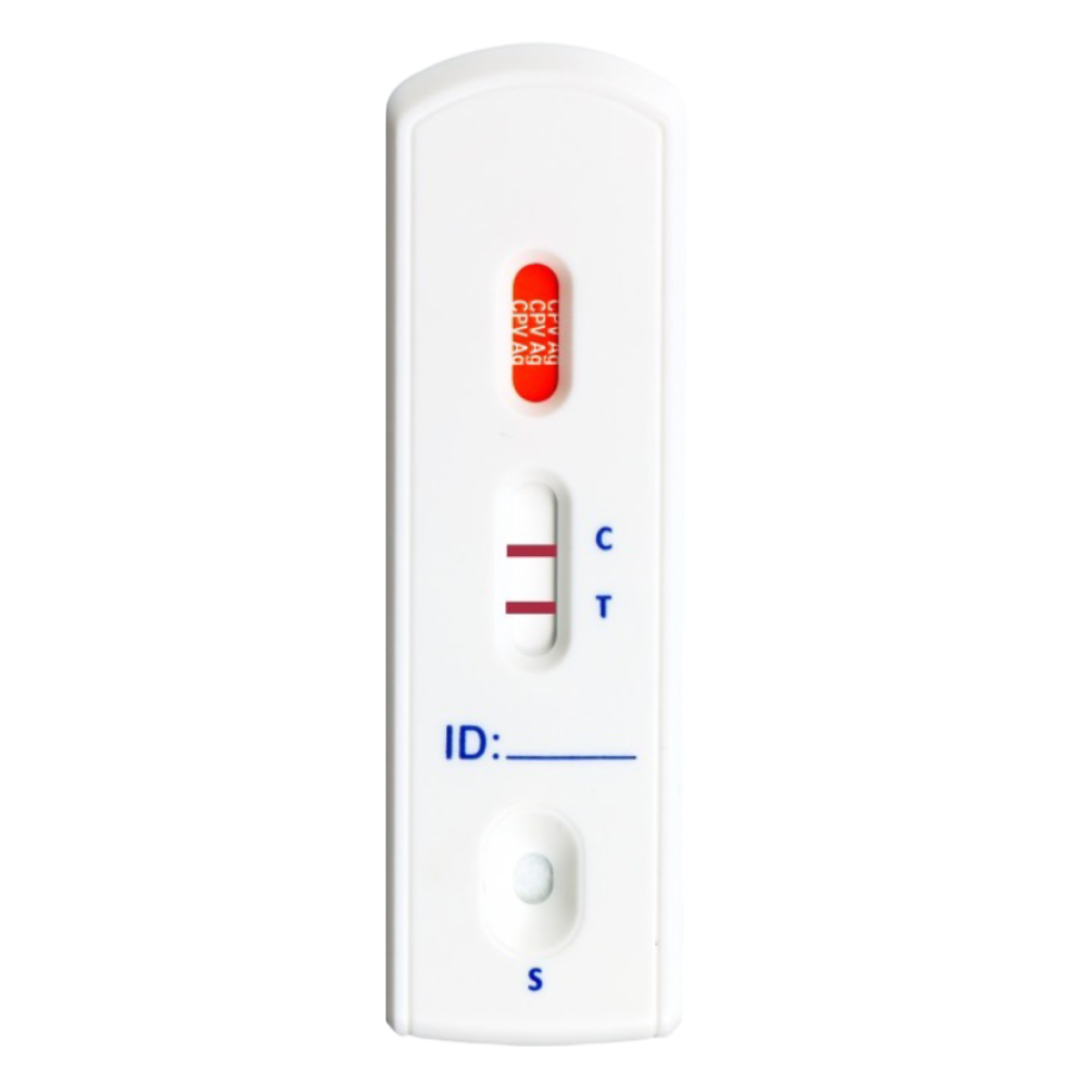 Test Rápido Parvovirus Canino (CPV Ag) – Unidad